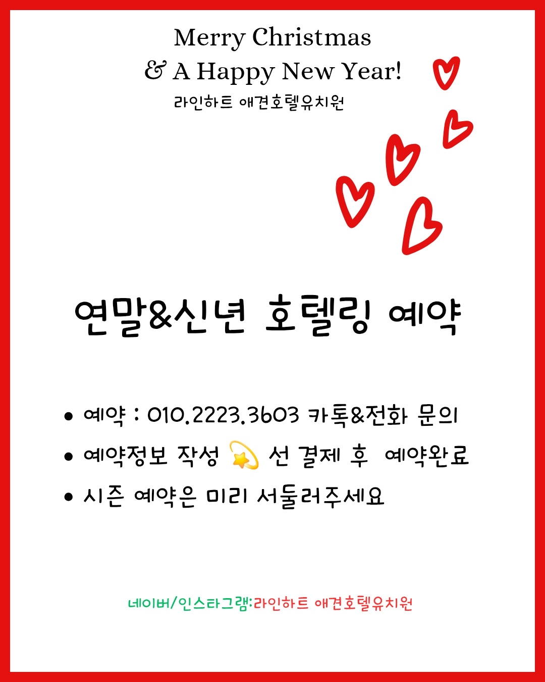 팝업